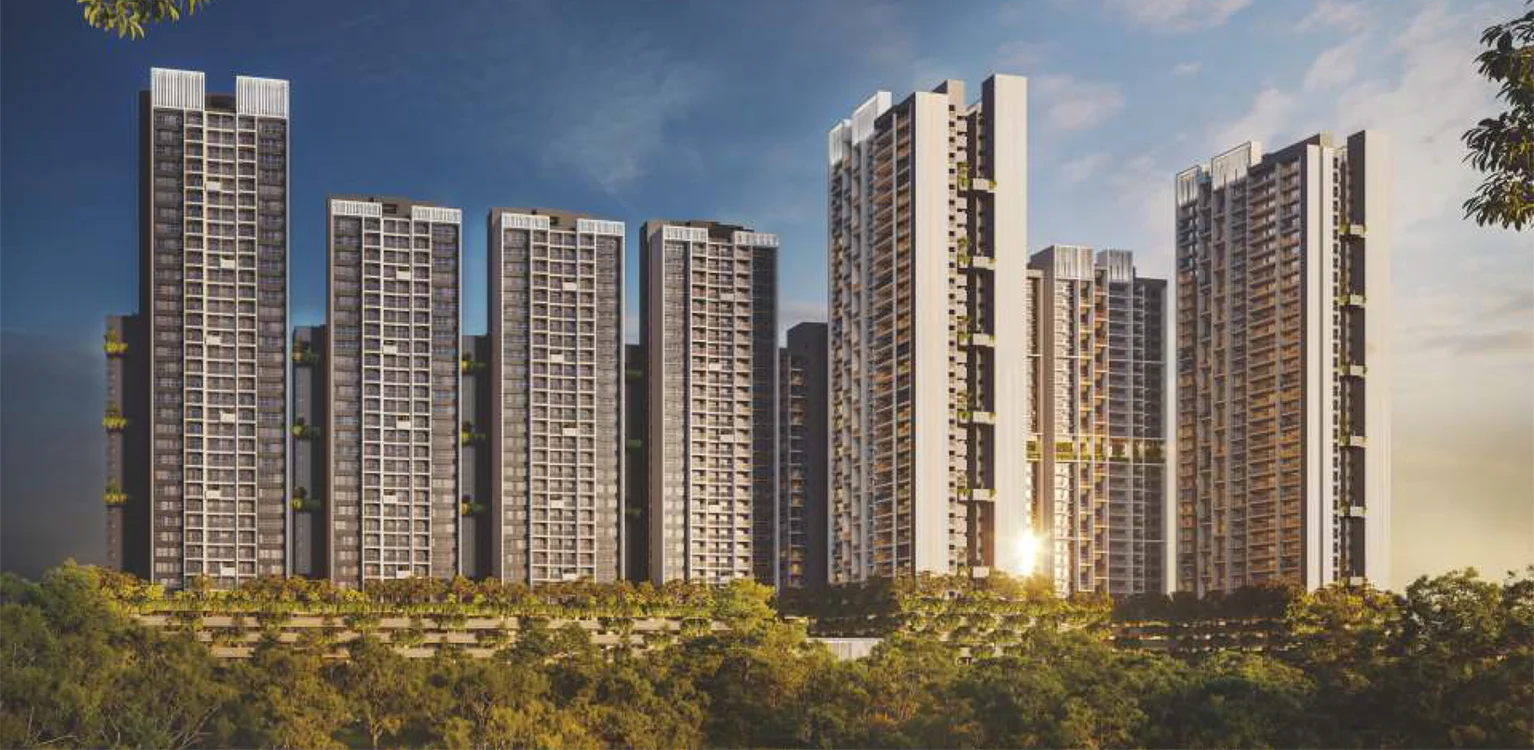Elevation 1 Rohan Harita